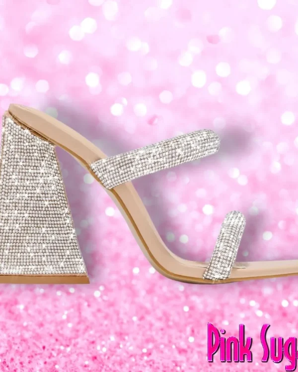 00 Nude Embellished Triangle Block Heel Mules