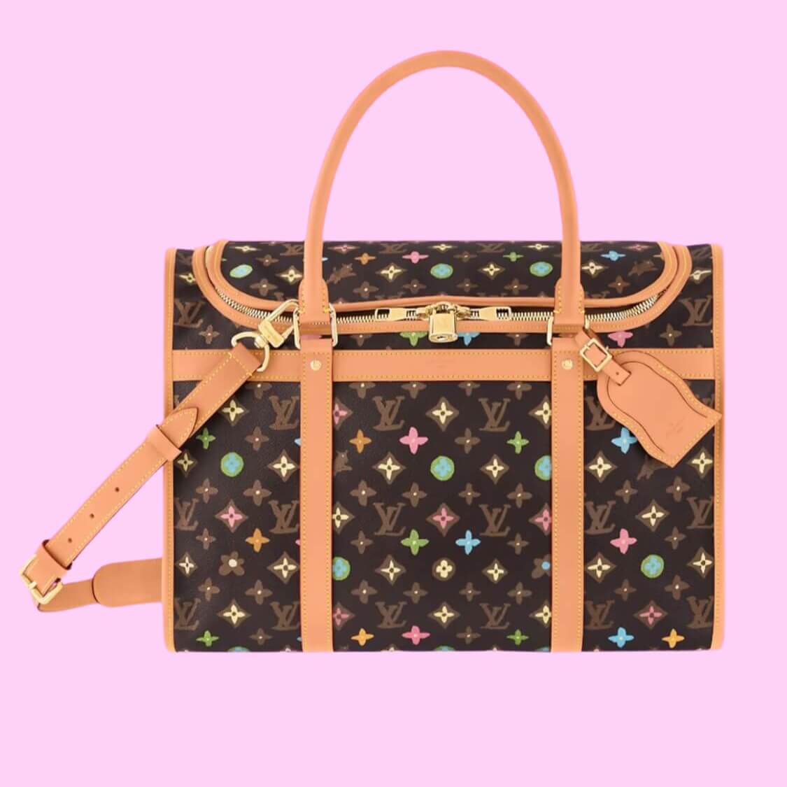 Monogram Pet Bag