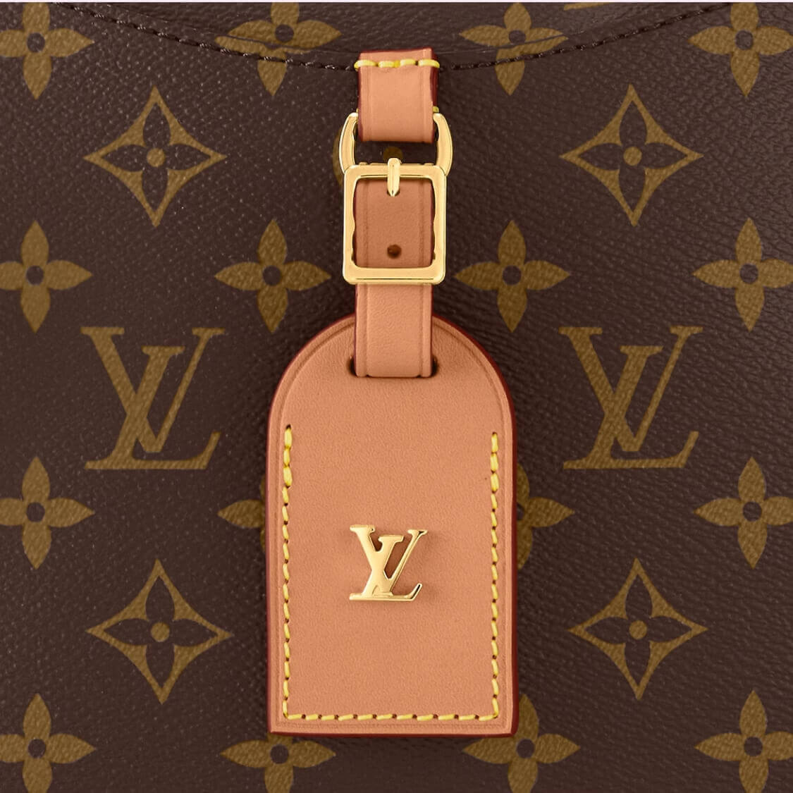 Designer Odéon PM Handbag