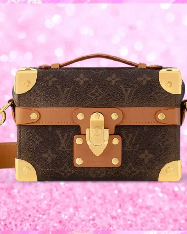 Soul Trunk Handbag In Brown