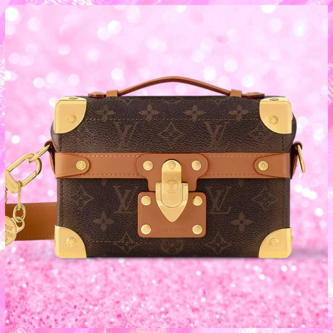 Soul Trunk Handbag In Brown