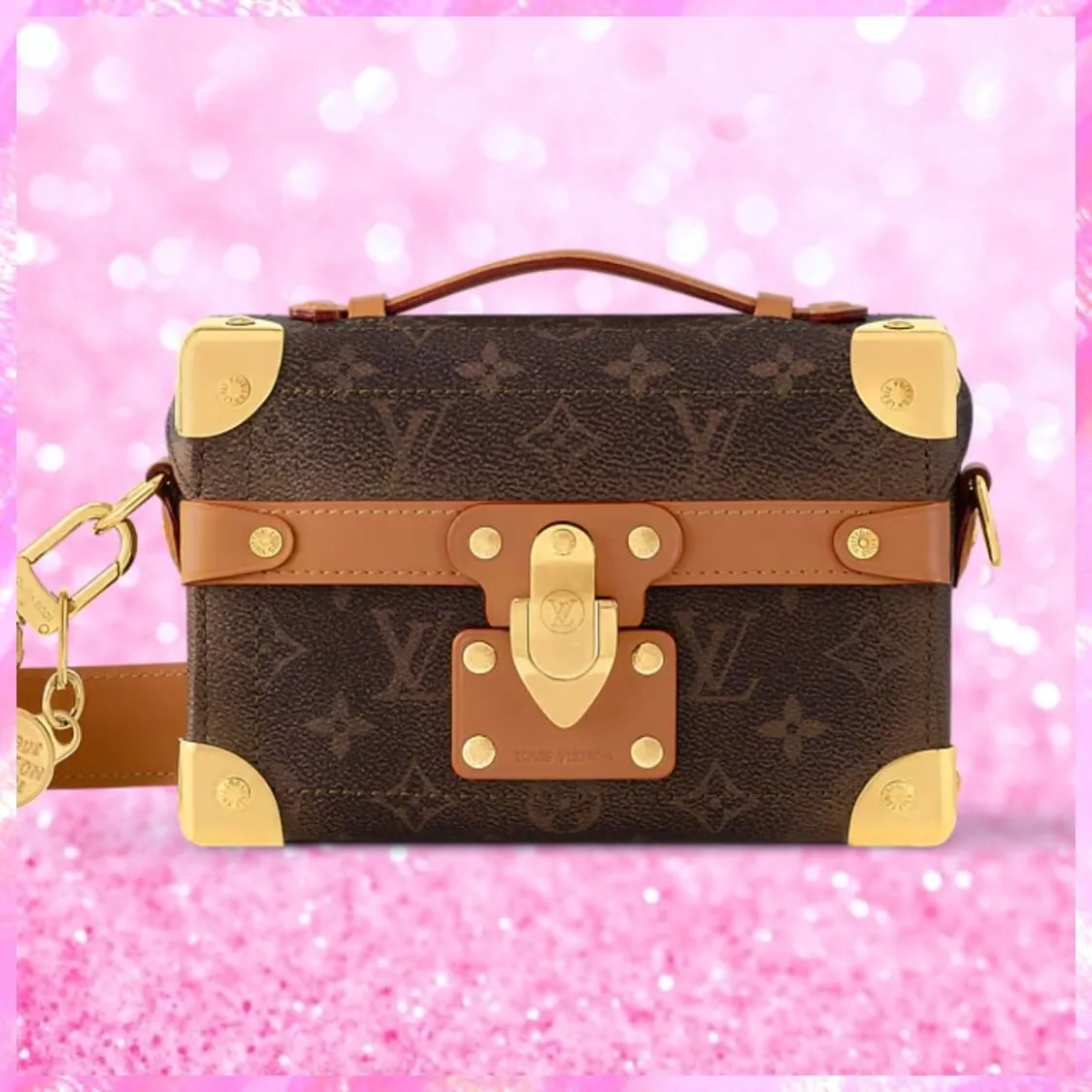Soul Trunk Handbag In Brown