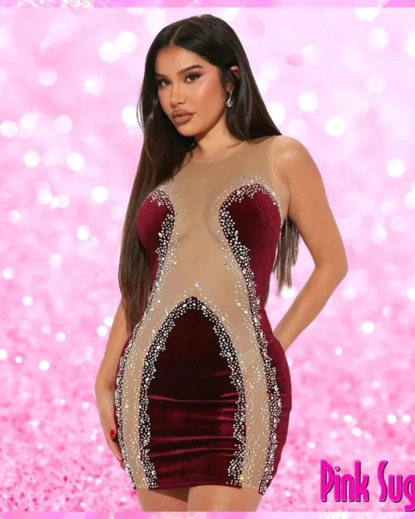 Burgundy Velvet Sheer Detail Mini Dress