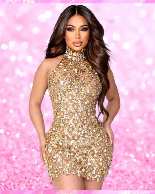 Crystal Mesh Mini Dress