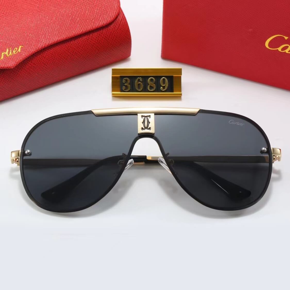 Logo Modern Pilot Sunglasses