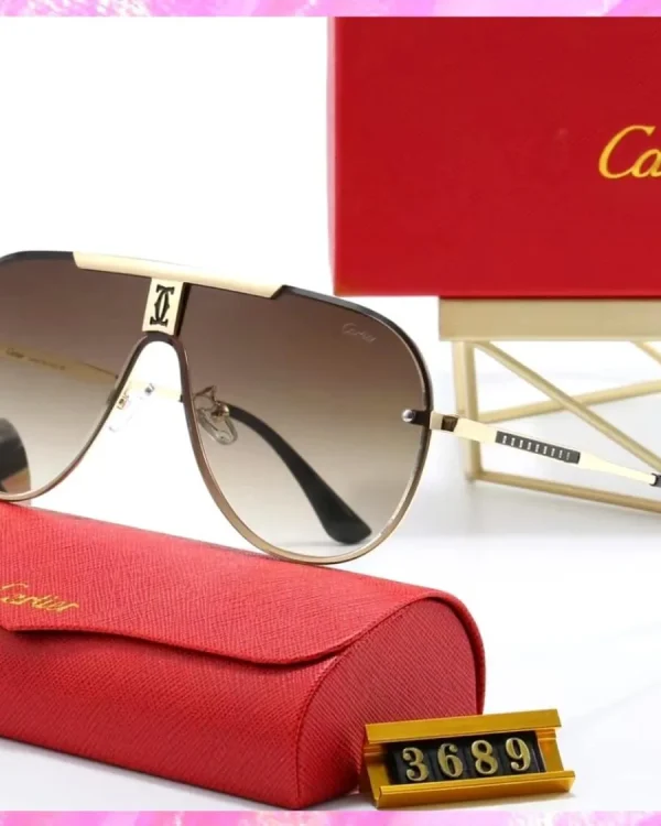 Logo Modern Pilot Sunglasses