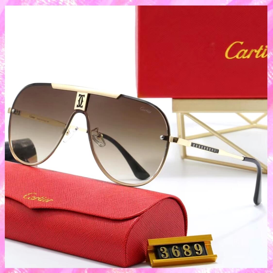 Logo Modern Pilot Sunglasses 