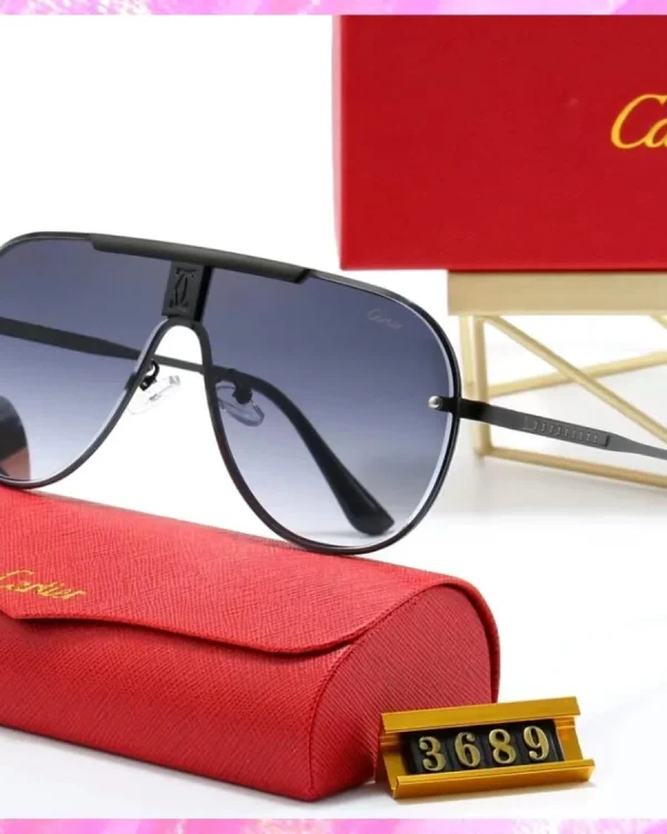 Logo Modern Pilot Sunglasses