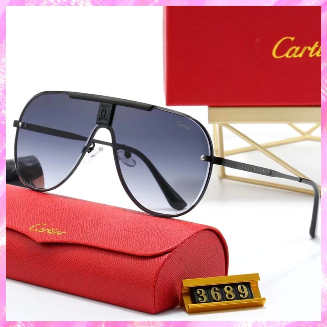 Logo Modern Pilot Sunglasses 