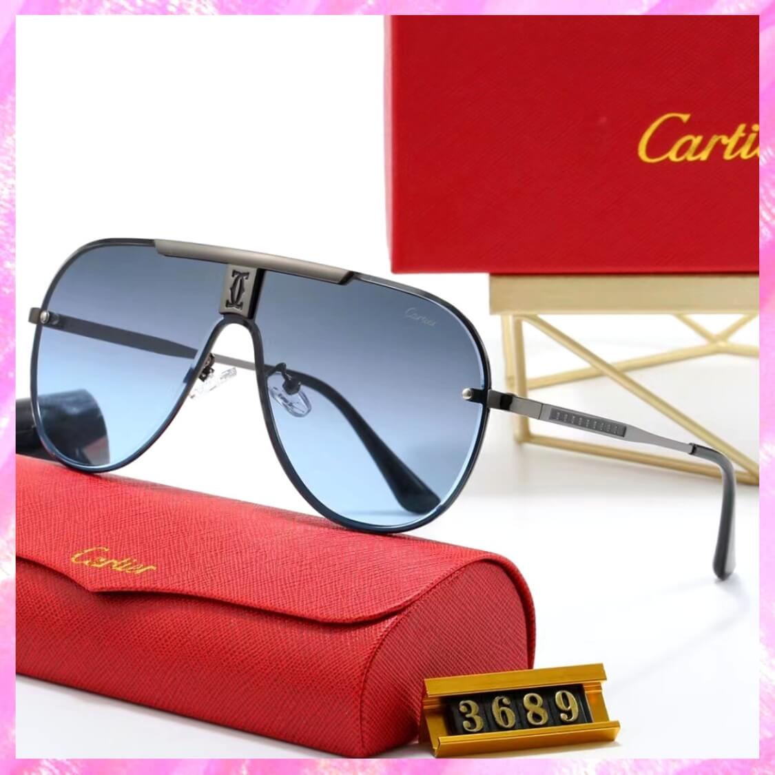 Logo Modern Pilot Sunglasses 