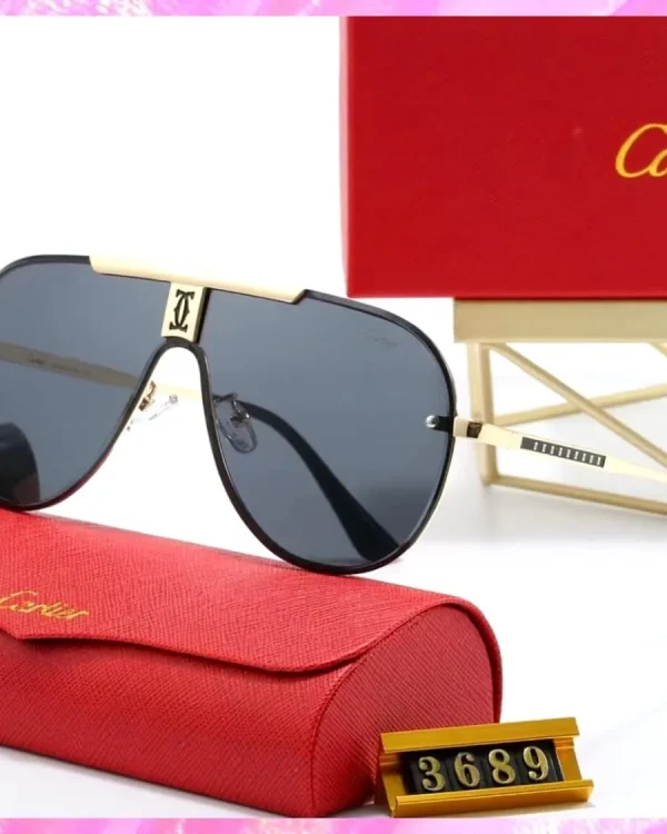 Logo Modern Pilot Sunglasses
