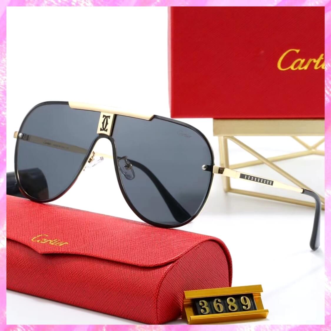 Logo Modern Pilot Sunglasses