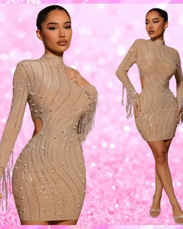 Long Sleeve Bodycon Party Dress